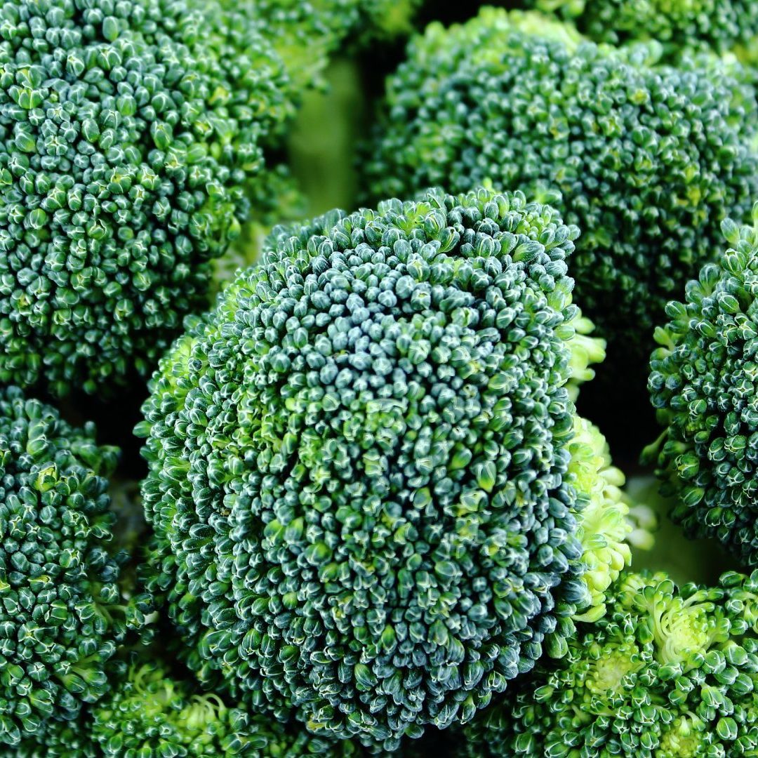 AEA_g30_food_image_021_Brocoli AEA_g30_food_image_021_Brocoli