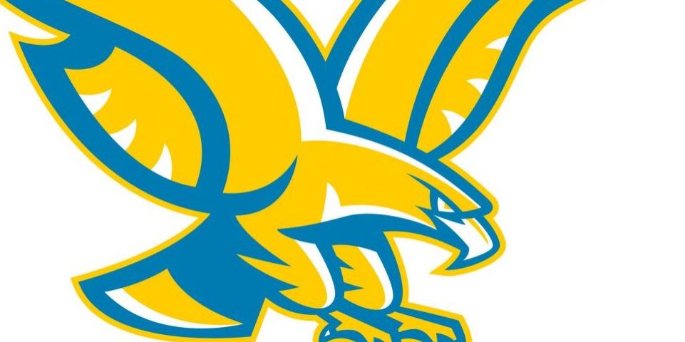 GoldEag_full_body_logo_CMYKu GoldEag_full_body_logo_CMYKu